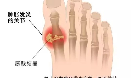 危重病人的护理ppt课件-危重病人护理记录描述网- 危重病人的护理ppt课件知识,分享危重病人的观察与护理试题